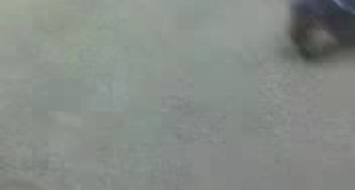 СТЕПА ЖЖЕТ!!!