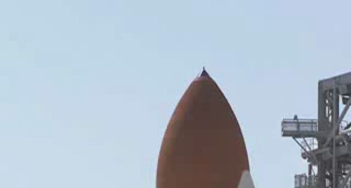 Птичек жалко