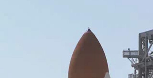 Птичек жалко