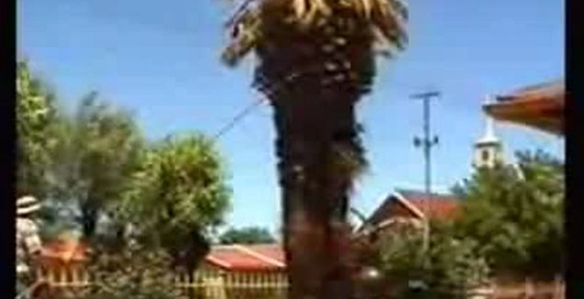 як не треба