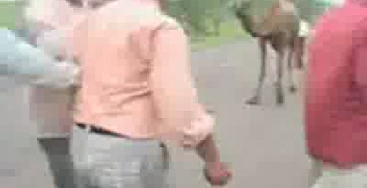 необычная авария