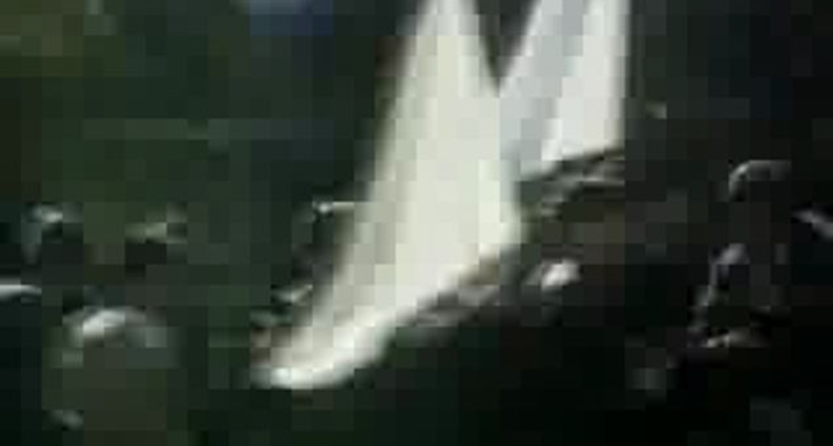 Это было не так давно...