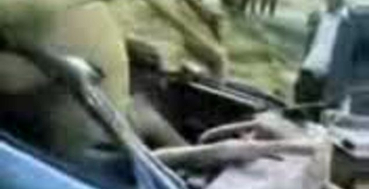 лошадь снесла крышу автомобилю