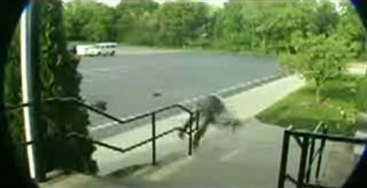 впав із скейту