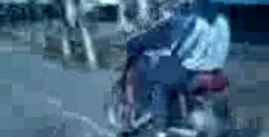 стой лошара