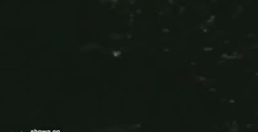 дерево в обличчі