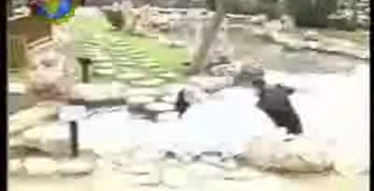 про що і чим вони тільки думають