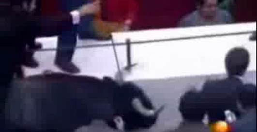 Бык во время корриды вырвался на трибуны.wmvБык во время корриды вырвался на трибуны