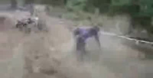 падіння на велосипедах