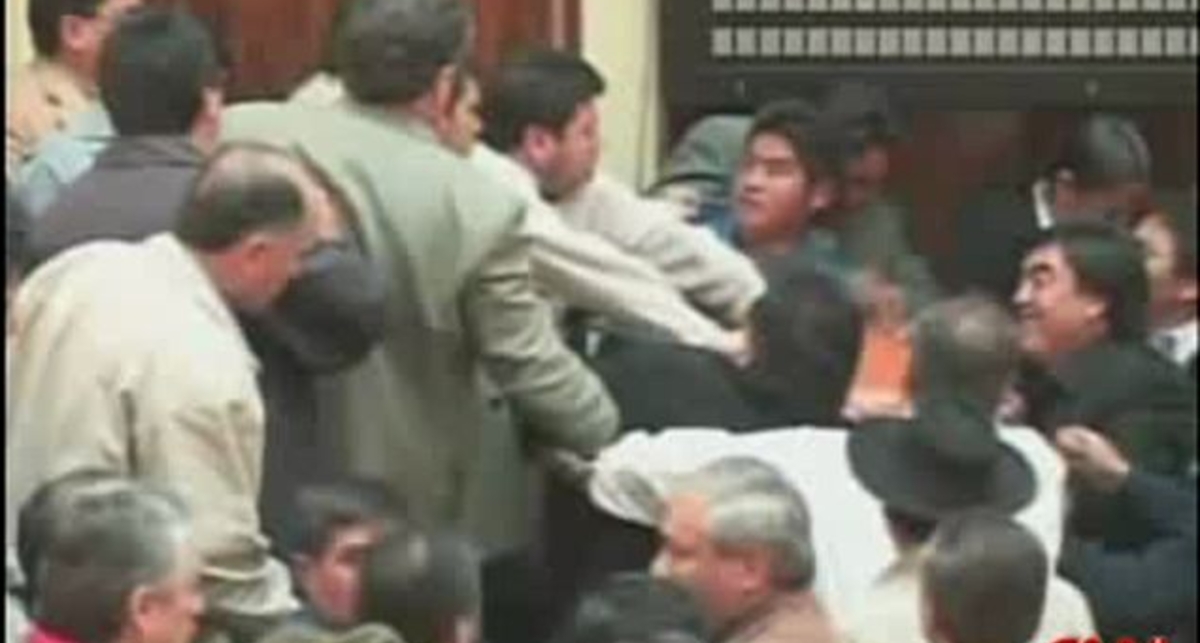 Политики дерутся