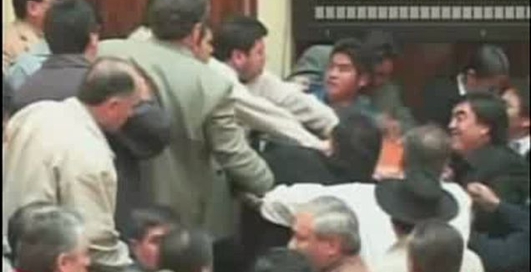 Политики дерутся