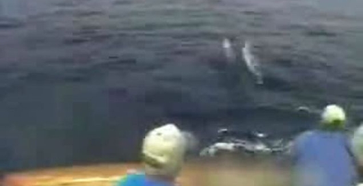 рибалку спіймала риба