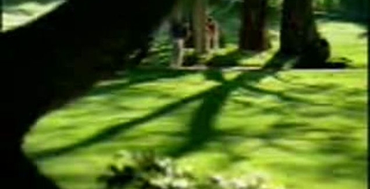 мєткий гольфіст