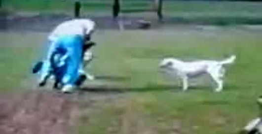 ідіот тато і мінібайк