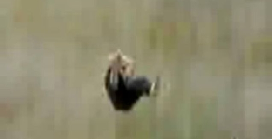 Прижок в коробки