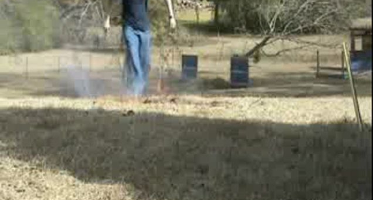 Лесной пожар