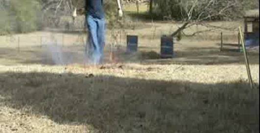 Лесной пожар