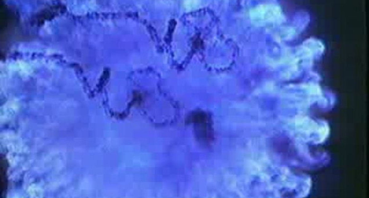 Ядерний взрыв