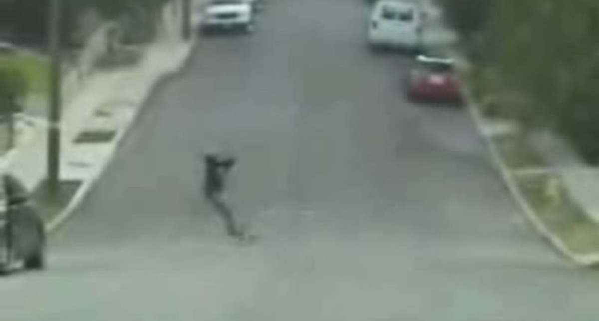 скейтер телепнувся