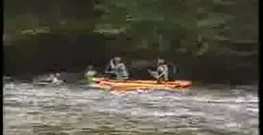 дерево на дорозі