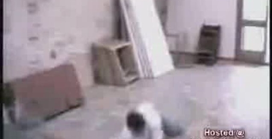 спорт на снігу