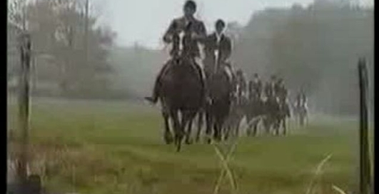 впала з конячки