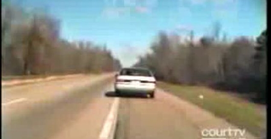 мєнтяра звір