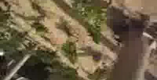 140кмч за 2 сек (Port Aventure)