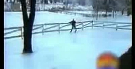 зимові курйози