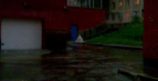 Недалеко от Клова. вечер 14-го