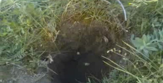 5 кг гранулита