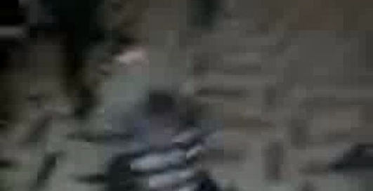 дитяча бійка