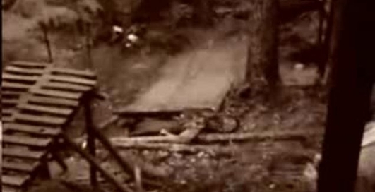 Дыр-дыр-пэрдь вэлыку нафиг смэрть