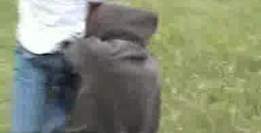 ДРАКА ПОСЛЕ ШКОЛЫ