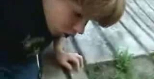 Головой об стенку на великЕ