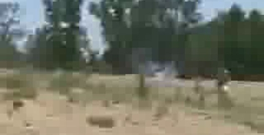 Заряд пиротехники