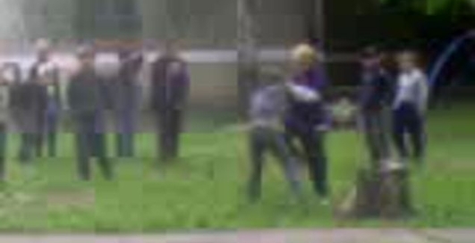 Малыши Розбераются