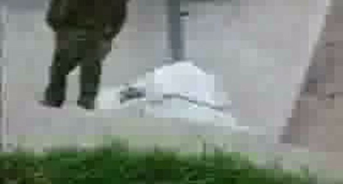 отстрелялся