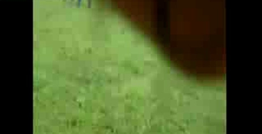 Ужасная авиакатастрофа в Тайланде