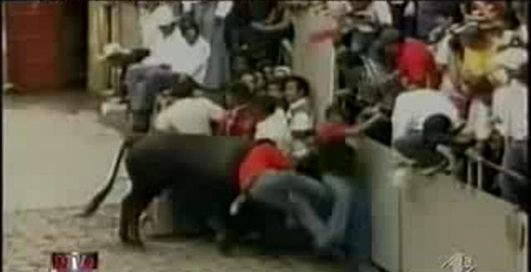 ТОЛПА И БЫК.