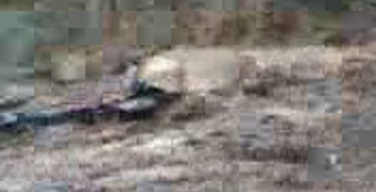 Он думал что участвует в ралли Париж-Дакар!!!) ))