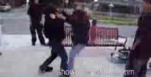 Девки хотят драться