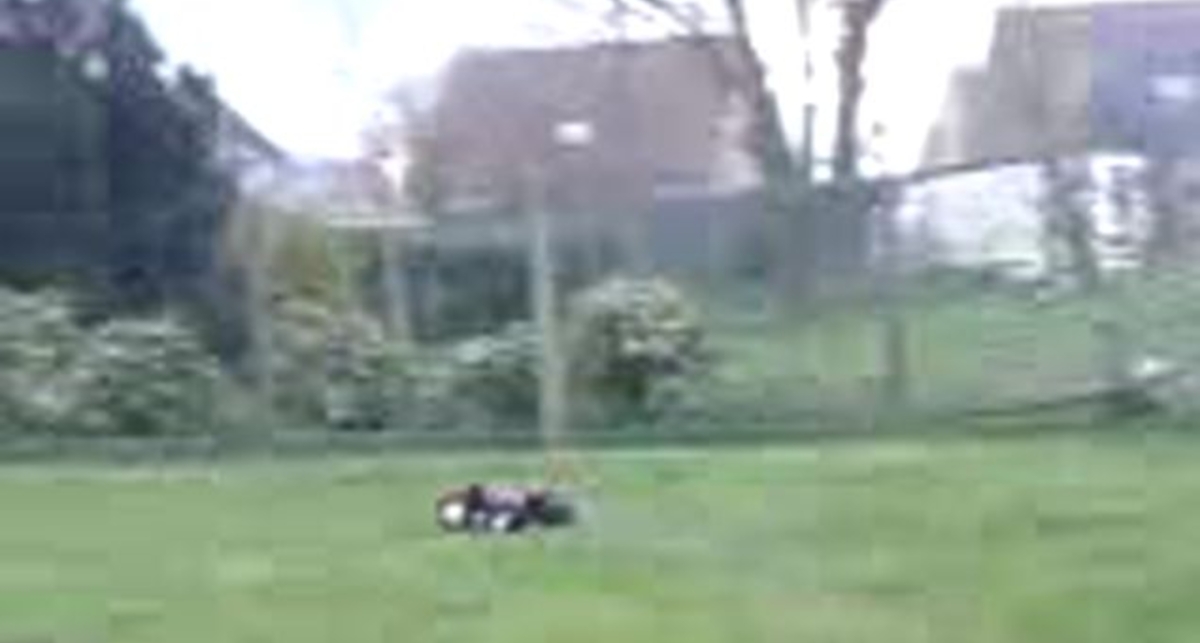 SAVAGE 25 vs СТУЛ