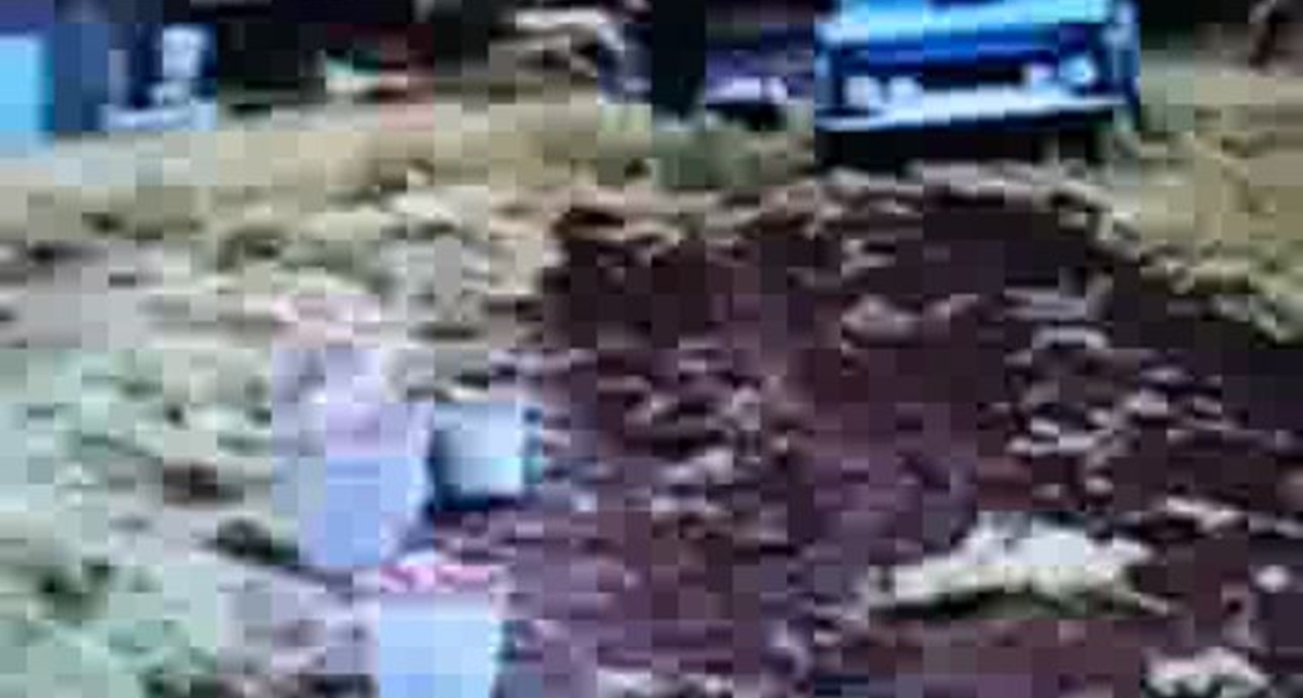 НИВА -мини трактор