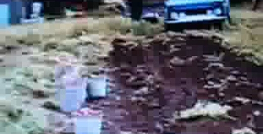 НИВА -мини трактор