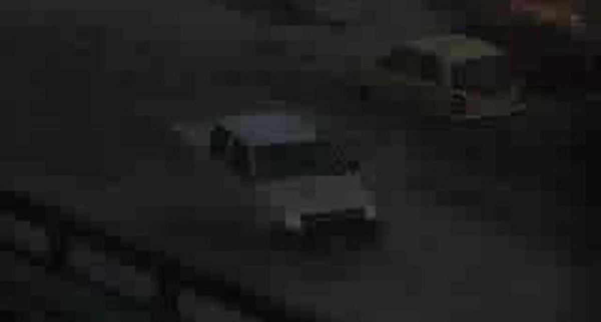 Танки грязи не боятся!