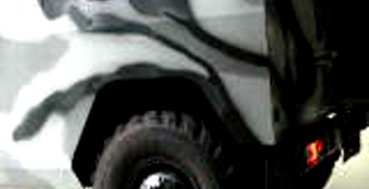 ОМОНовский Тигр