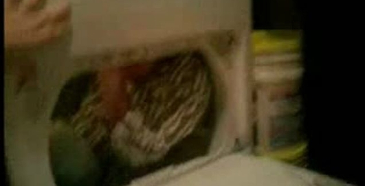 guy-spins-in-a-dryer