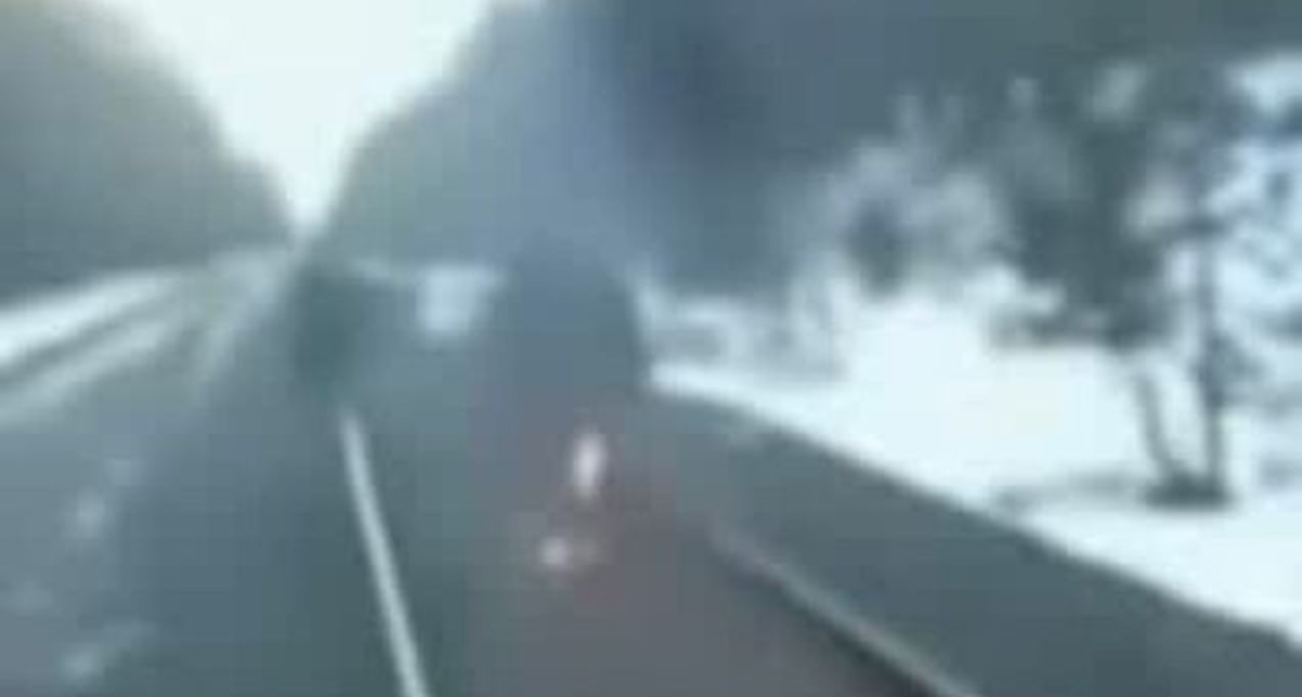 дурень підпалився