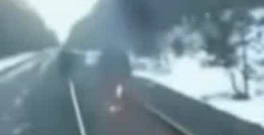 дурень підпалився